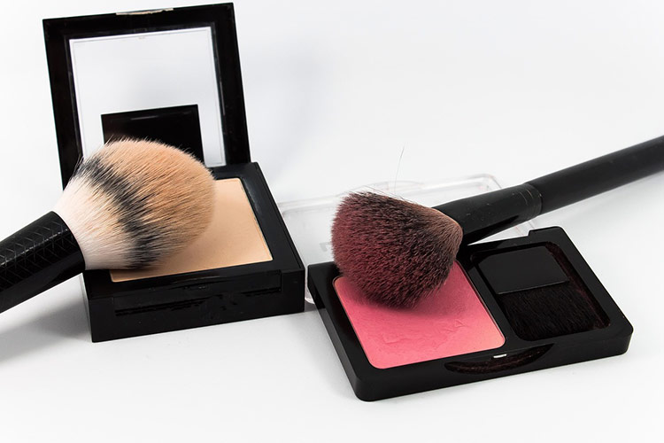 cleanroom-manufacturers